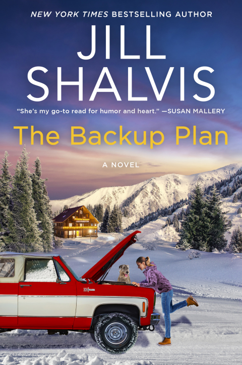 Cover image for book The Backup Plan