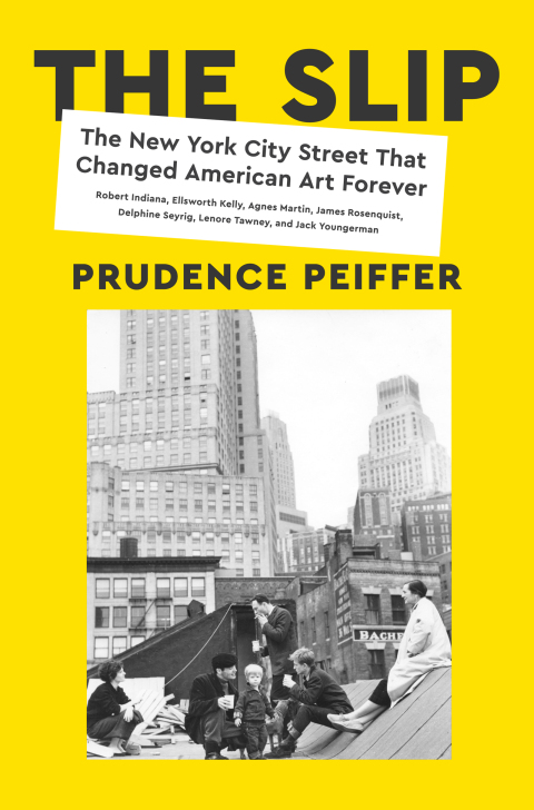 Cover image for book The Slip