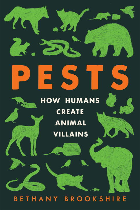 Cover image for book Pests
