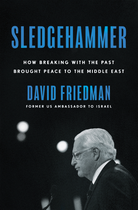 Cover image for book Sledgehammer