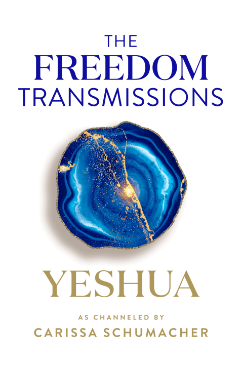 Cover image for book The Freedom Transmissions