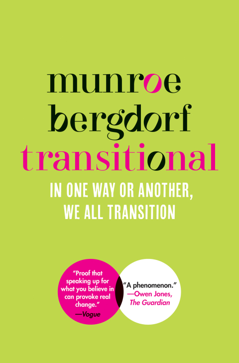 Cover image for book Transitional