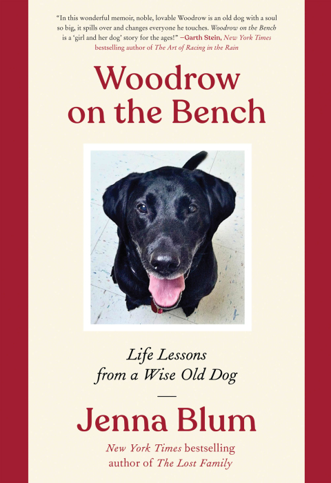 Cover image for book Woodrow on the Bench