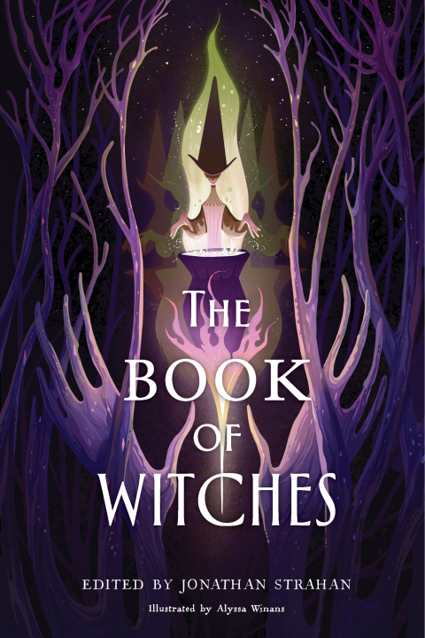 Cover image for book The Book of Witches
