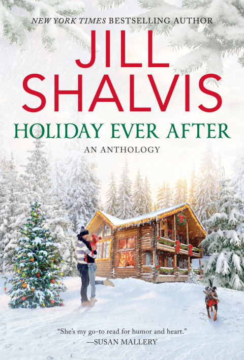 Cover image for book Holiday Ever After