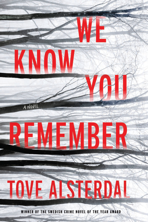 Cover image for book We Know You Remember