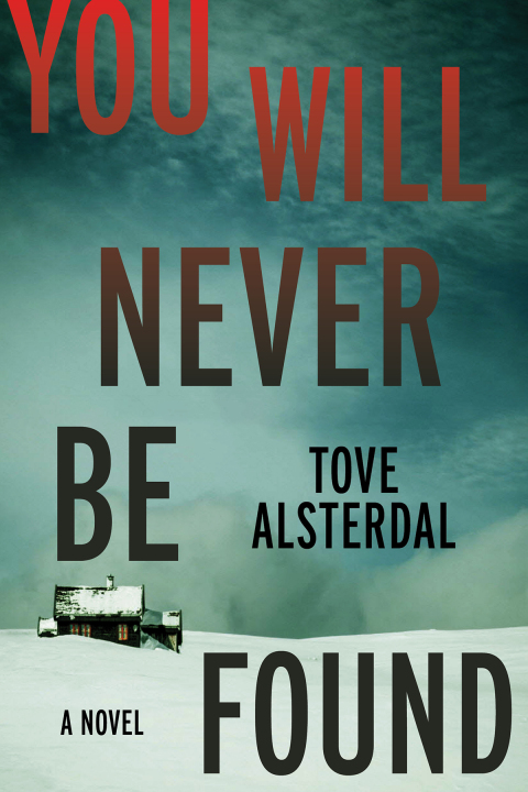 Cover image for book You Will Never Be Found