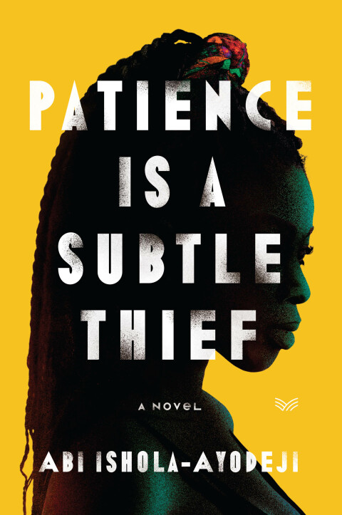 Cover image for book Patience Is a Subtle Thief