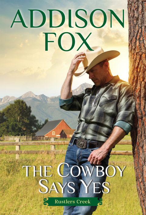 Cover image for book The Cowboy Says Yes