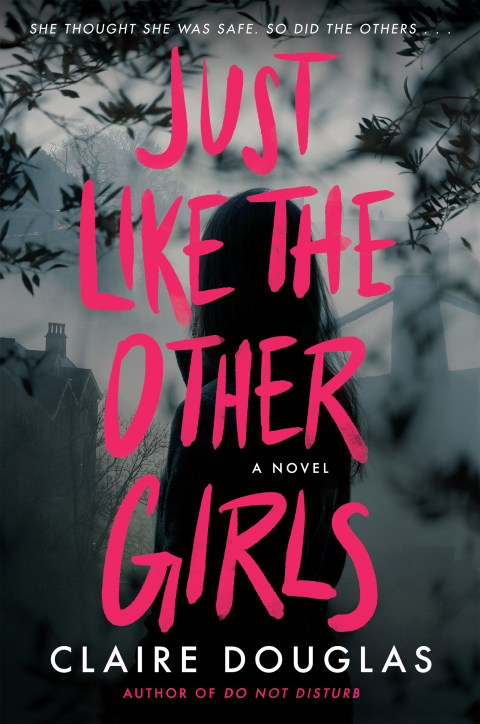 Cover image for book Just Like The Other Girls