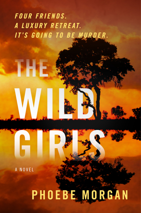 Cover image for book The Wild Girls