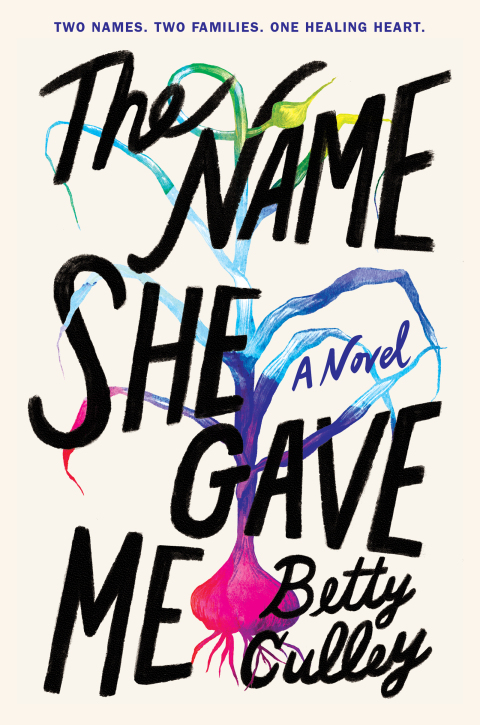 Cover image for book The Name She Gave Me