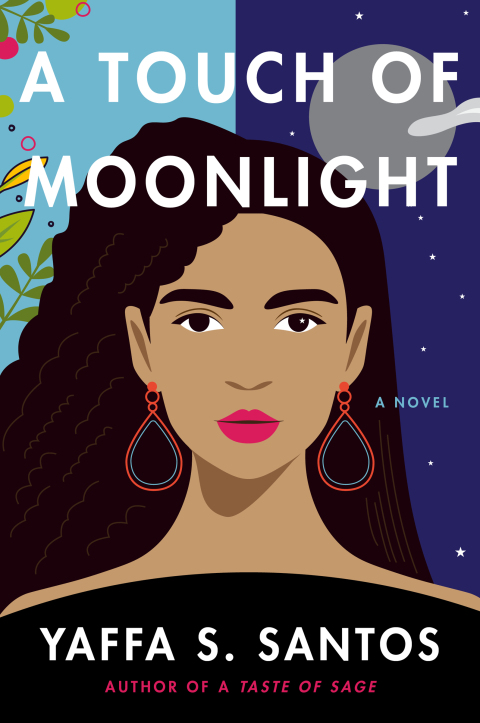 Cover image for book A Touch of Moonlight