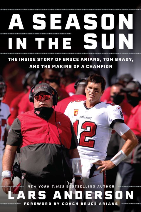 Cover image for book A Season in the Sun