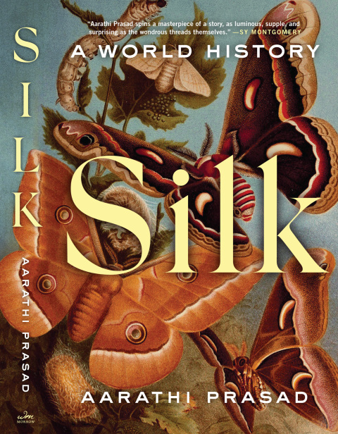 Cover image for book Silk