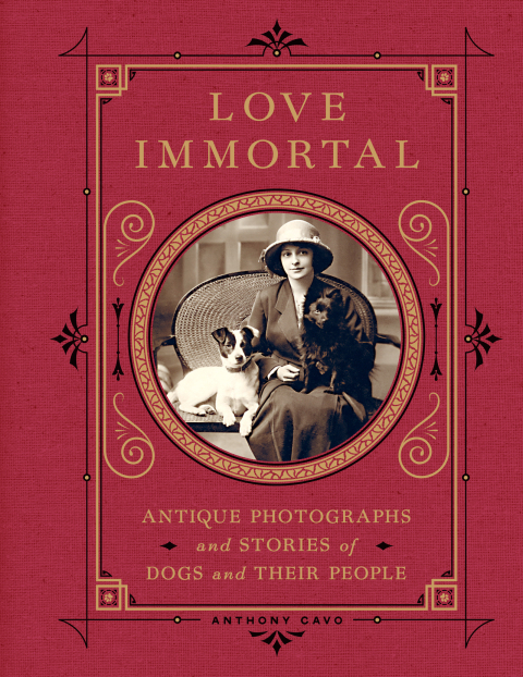 Cover image for book Love Immortal