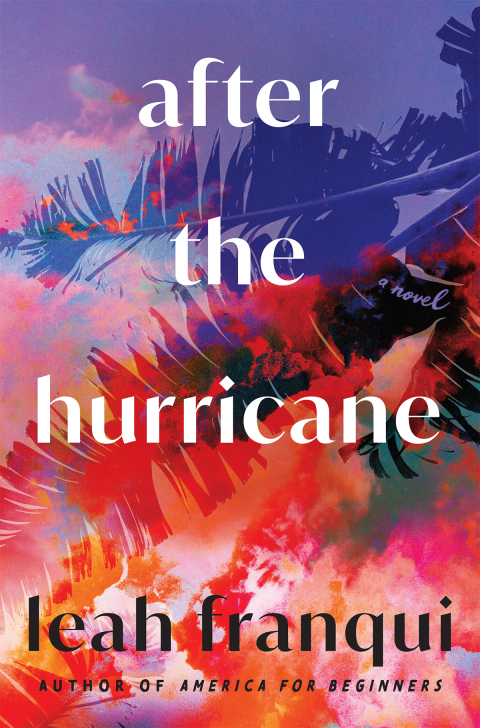 Cover image for book After the Hurricane
