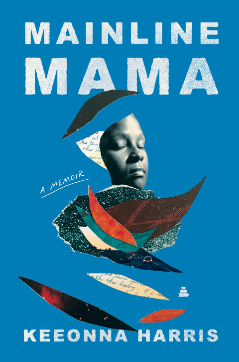 Cover image for book Mainline Mama