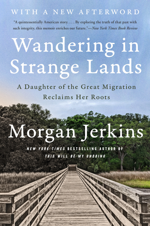 Cover image for book Wandering in Strange Lands