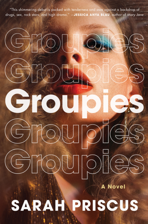 Cover image for book Groupies