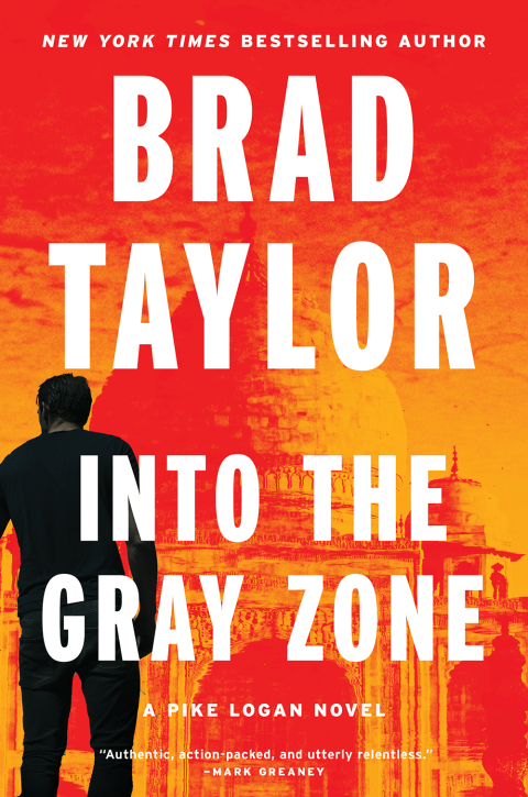 Cover image for book Into the Gray Zone