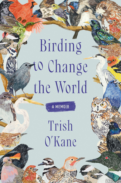 Cover image for book Birding to Change the World