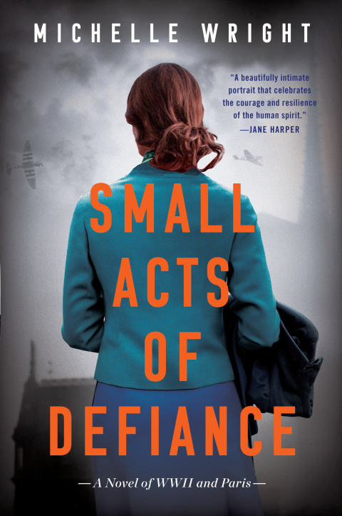 Cover image for book Small Acts of Defiance