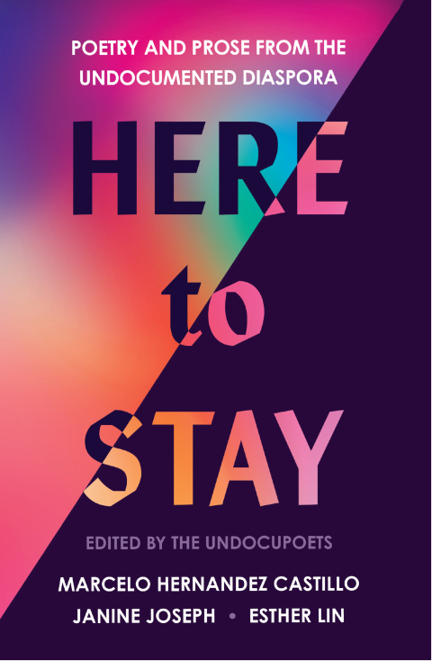 Cover image for book Here to Stay