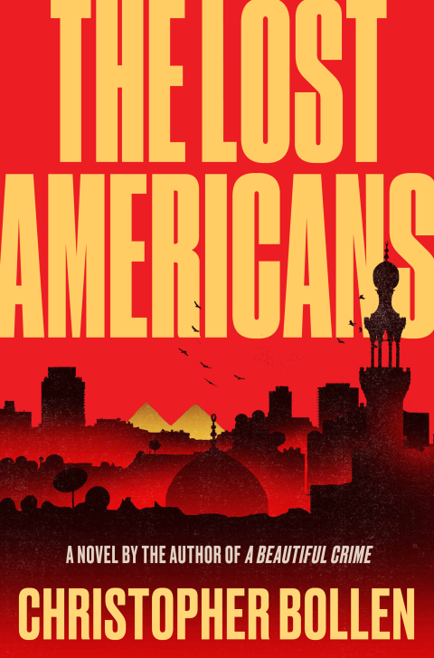 Cover image for book The Lost Americans