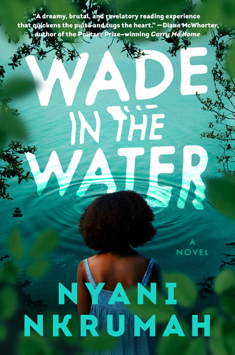 Cover image for book Wade in the Water