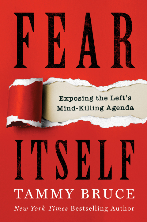 Cover image for book Fear Itself