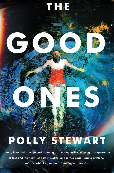 Cover image for book The Good Ones