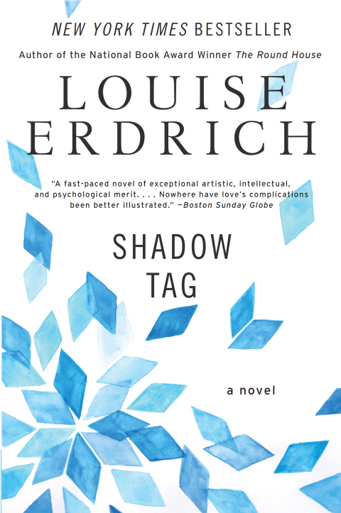 Cover image for book Shadow Tag