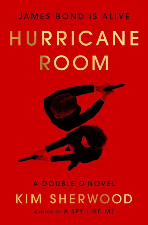 Cover image for book Hurricane Room