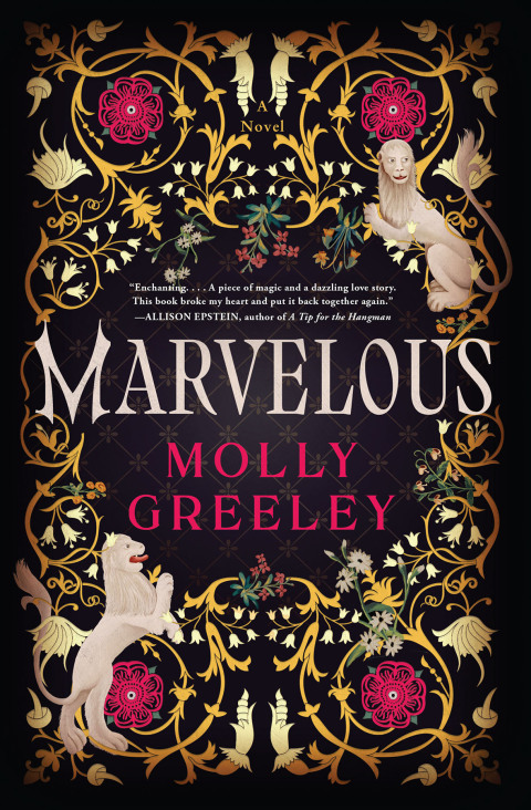 Cover image for book Marvelous