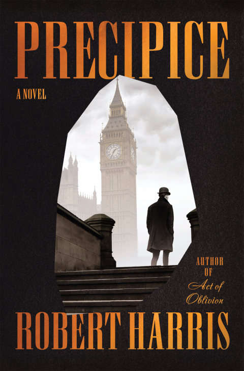 Cover image for book Precipice