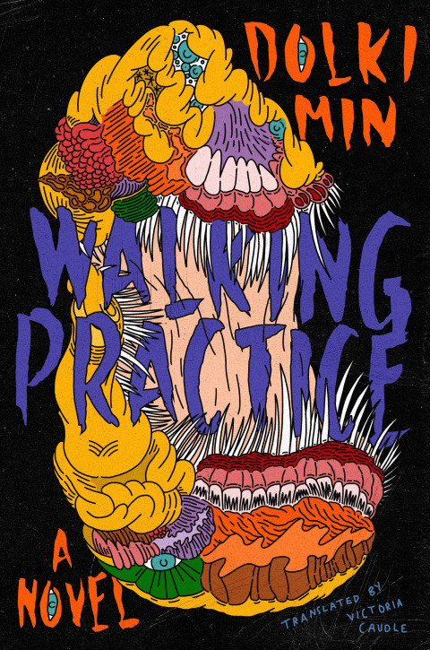 Cover image for book Walking Practice