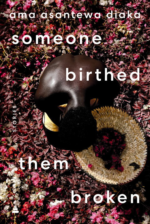 Cover image for book someone birthed them broken