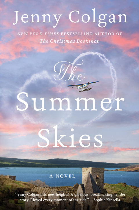 Cover image for book The Summer Skies
