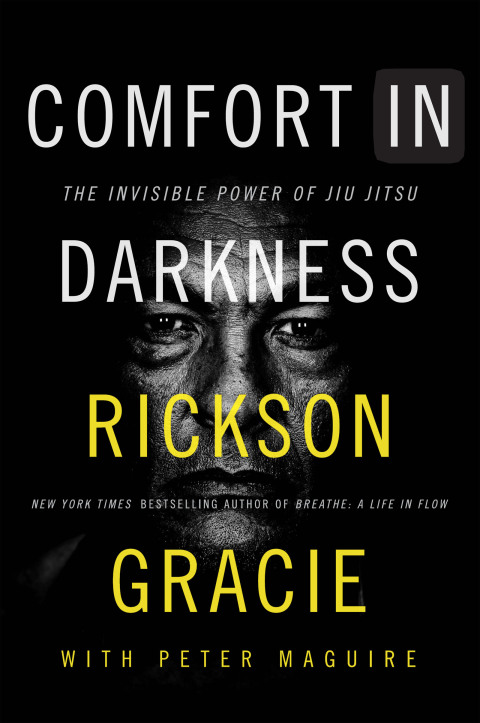 Cover image for book Comfort in Darkness