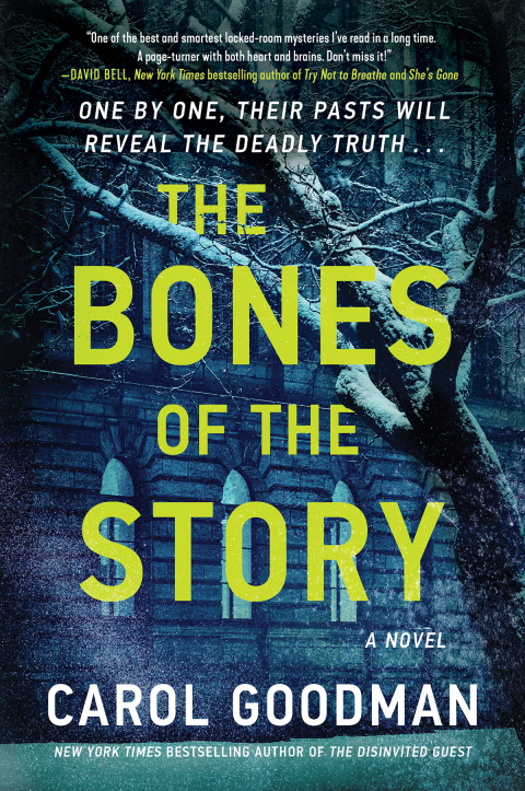 Cover image for book The Bones of the Story
