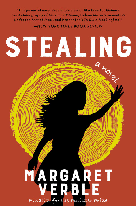 Cover image for book Stealing
