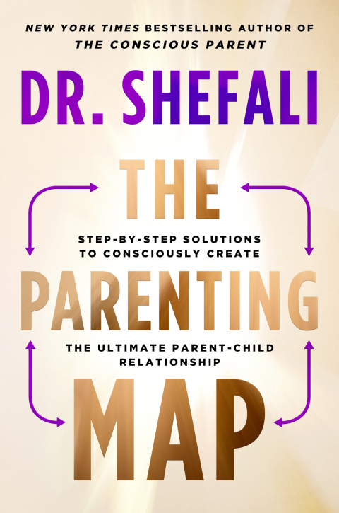 Cover image for book The Parenting Map