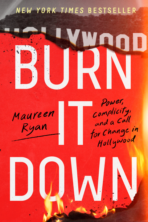 Cover image for book Burn It Down