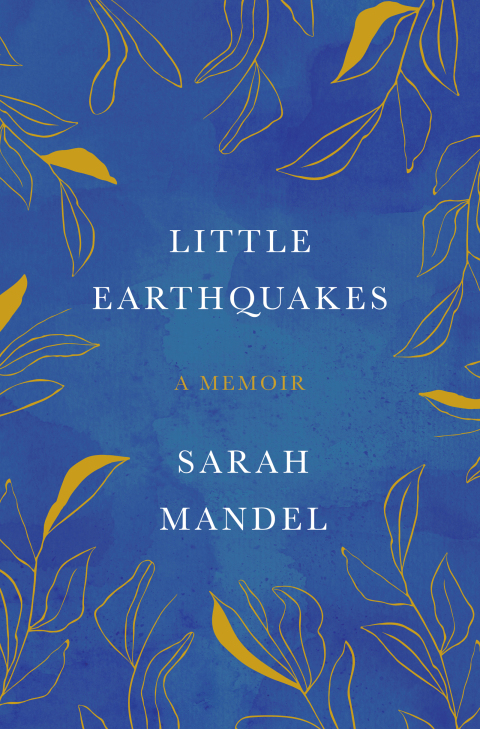 Cover image for book Little Earthquakes