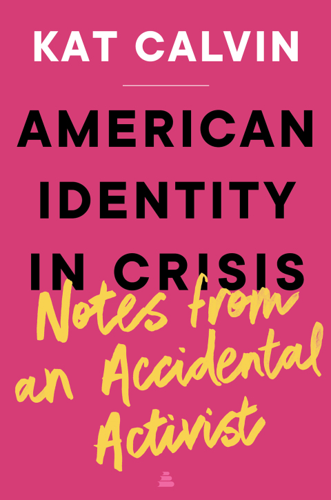Cover image for book American Identity in Crisis: Notes from an Accidental Activist