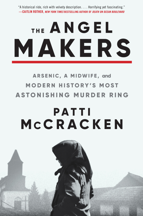 Cover image for book The Angel Makers