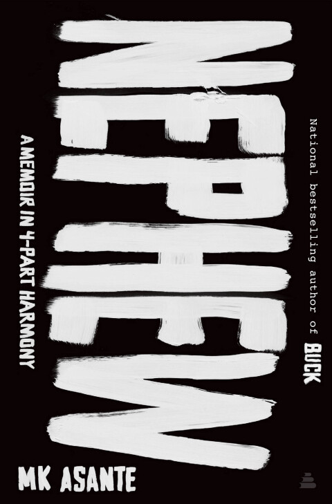 Cover image for book Nephew
