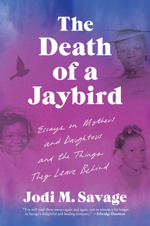 Cover image for book The Death of a Jaybird