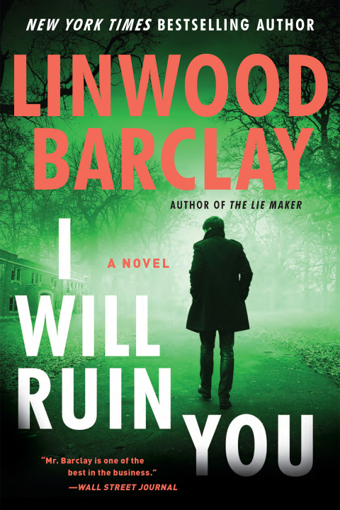 Cover image for book I Will Ruin You